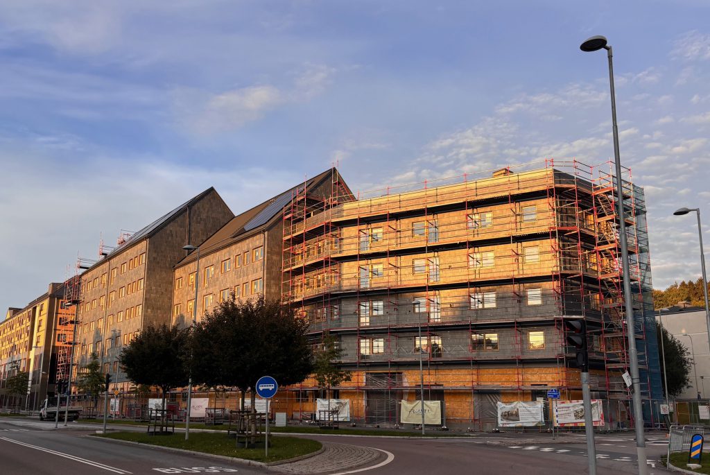 Väg, hus, himmel, foto